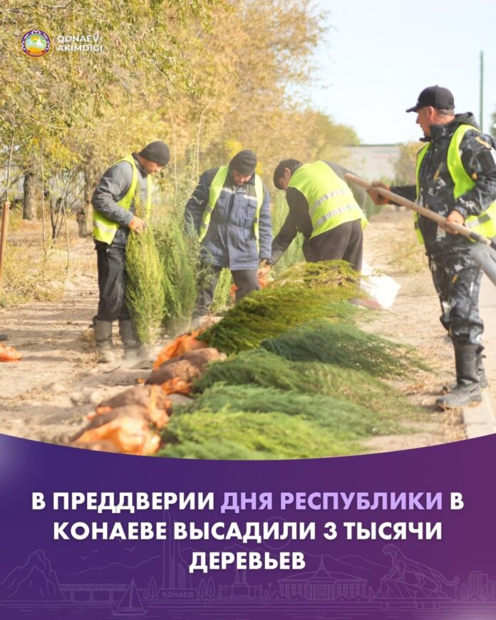 В преддверии Дня Республики в Конаеве высадили 3 тысячи деревьев