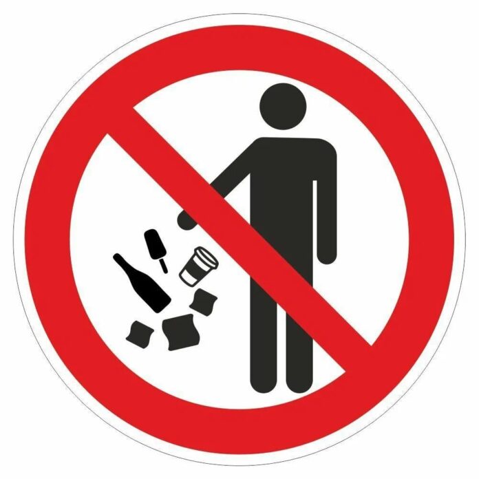 Жағалауға апаратын бейберекет соқпақ нені өзгертеді?