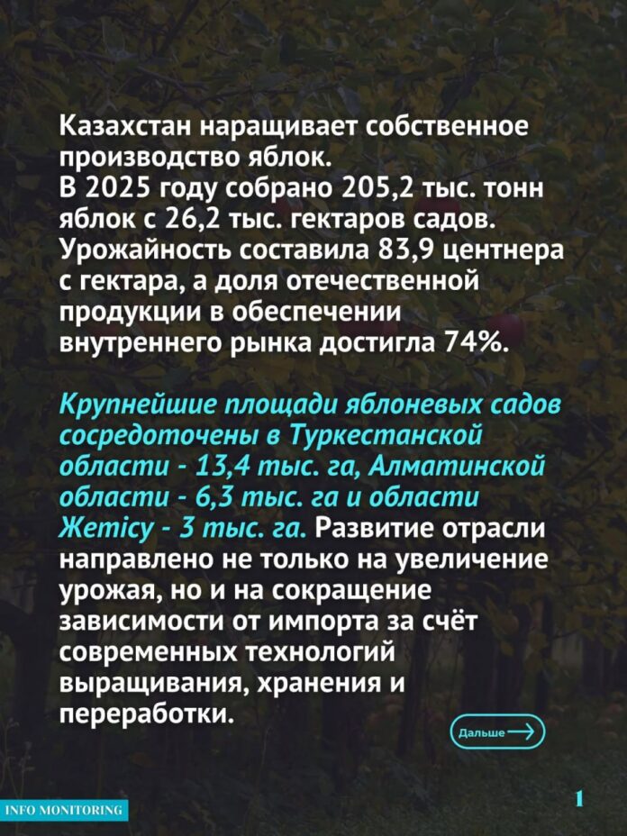 ИМПОРТ СОКРАЩАЕТСЯ, ПРОИЗВОДСТВО ОТЕЧЕСТВЕННЫХ ЯБЛОК РАСТЁТ: КАЗАХСТАН РАЗВИВАЕТ САДОВОДСТВО